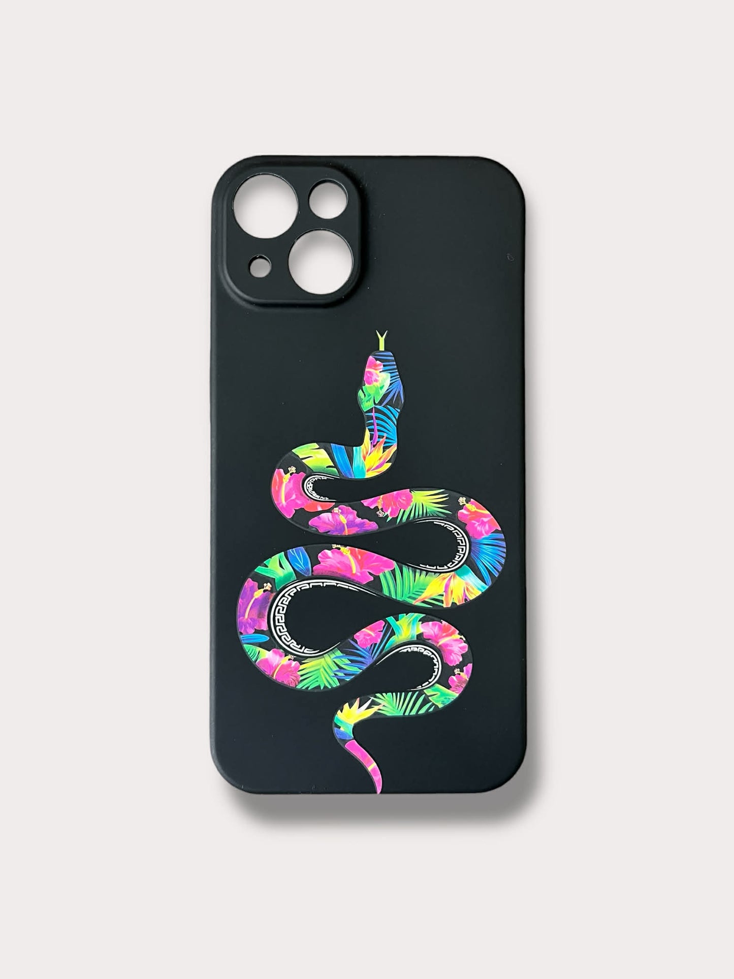 Color Snake Кейс