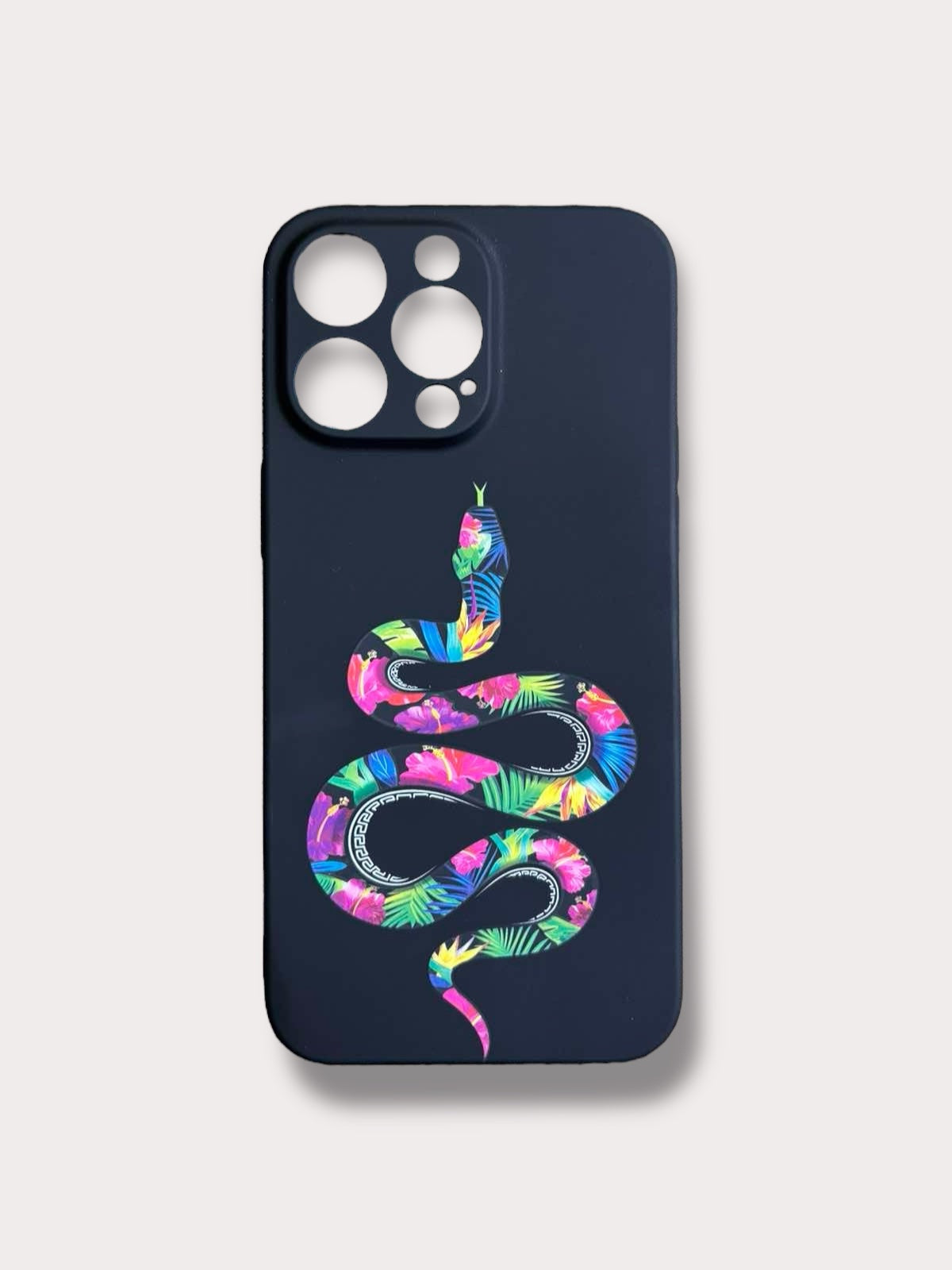 Color Snake Кейс